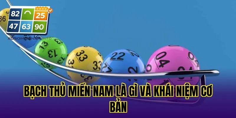 Bạch thủ miền Nam là gì và khái niệm cơ bản