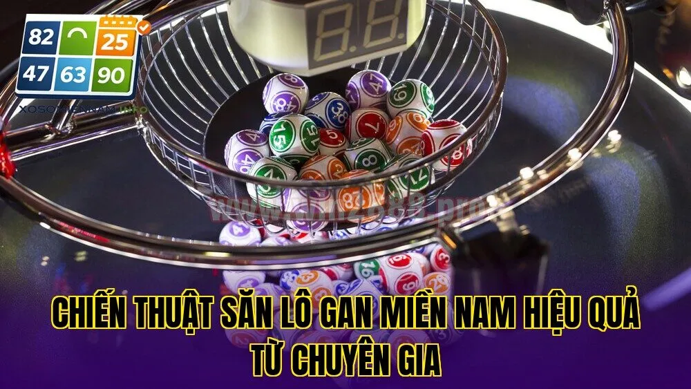 Chiến thuật săn lô gan miền Nam hiệu quả từ chuyên gia