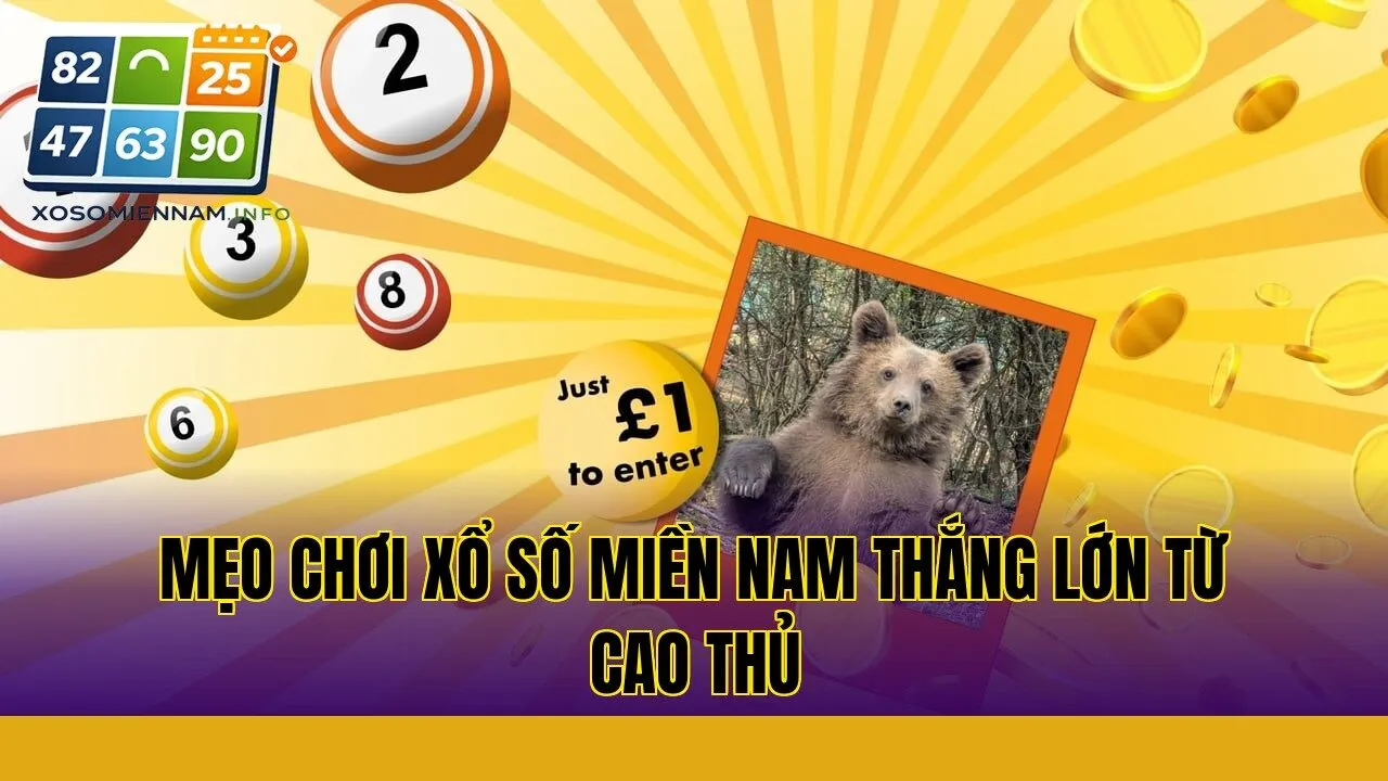 Mẹo chơi xổ số miền Nam thắng lớn từ cao thủ