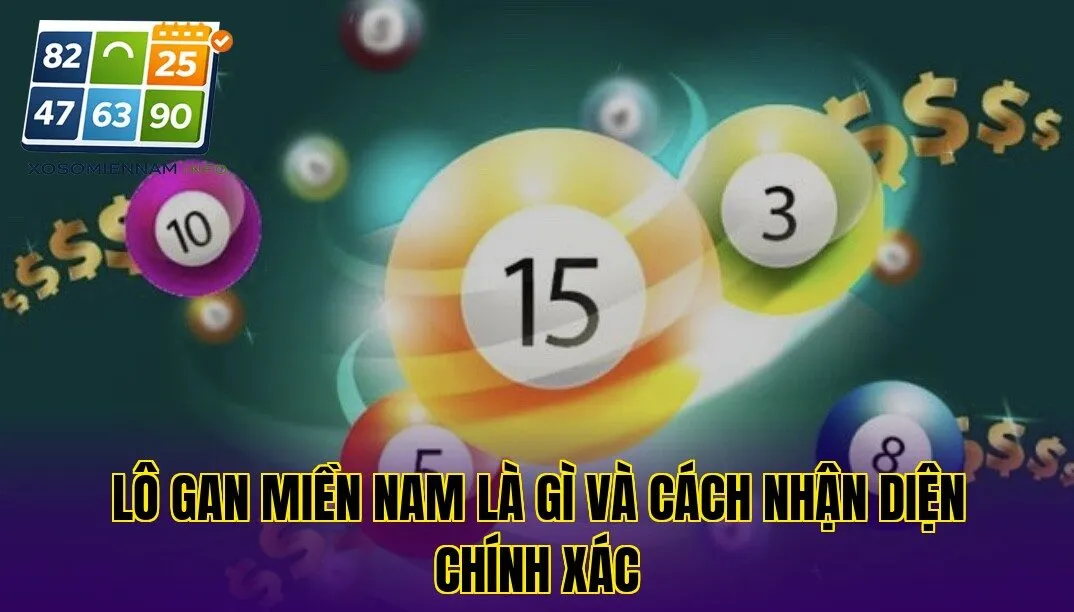 Lô gan miền Nam là gì và cách nhận diện chính xác