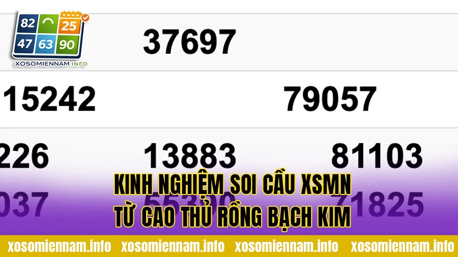 Kinh nghiệm soi cầu XSMN từ cao thủ Rồng Bạch Kim