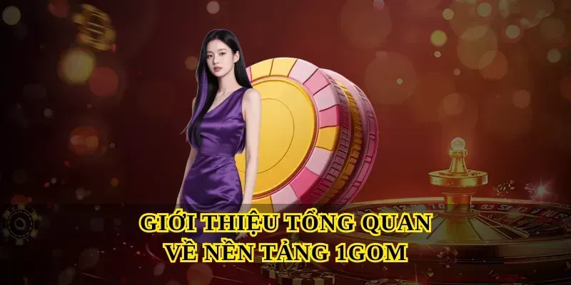 Giới thiệu tổng quan về nền tảng 1gom